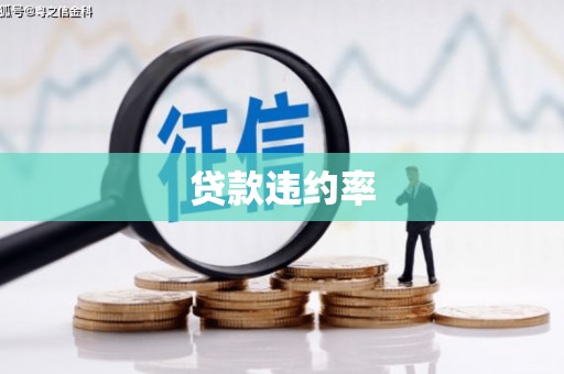 清丰贷款违约率