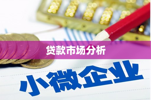 清丰贷款市场分析