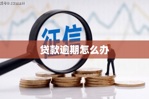 清丰贷款逾期怎么办