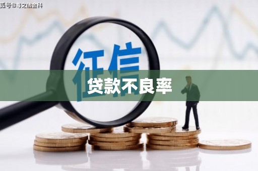 清丰贷款不良率