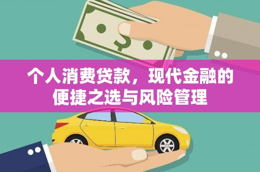 清丰个人消费贷款，现代金融的便捷之选与风险管理