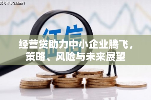 清丰经营贷助力中小企业腾飞，策略、风险与未来展望