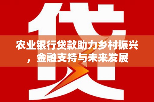 清丰农业银行贷款助力乡村振兴，金融支持与未来发展