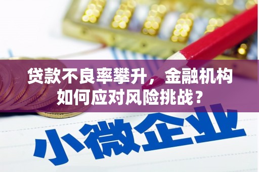 清丰贷款不良率攀升，金融机构如何应对风险挑战？