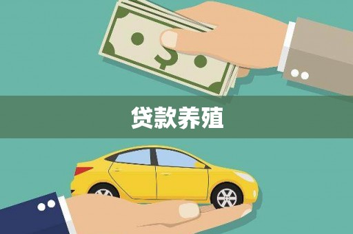 清丰贷款养殖