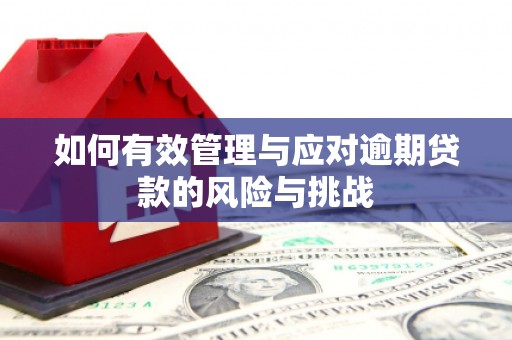 清丰如何有效管理与应对逾期贷款的风险与挑战