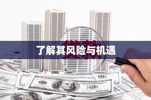 清丰了解其风险与机遇