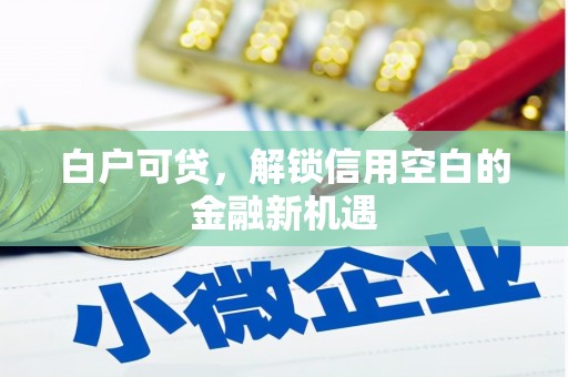 清丰白户可贷，解锁信用空白的金融新机遇