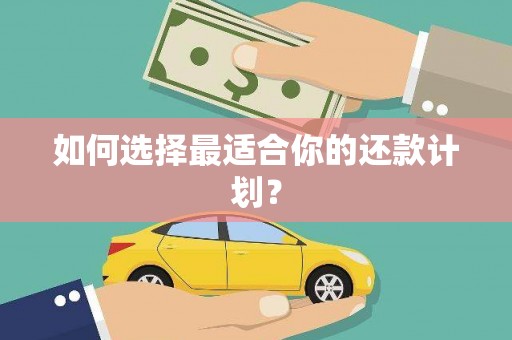 清丰如何选择最适合你的还款计划？