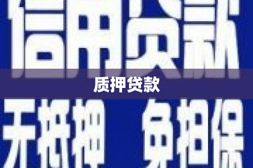 清丰质押贷款