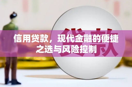 清丰信用贷款，现代金融的便捷之选与风险控制