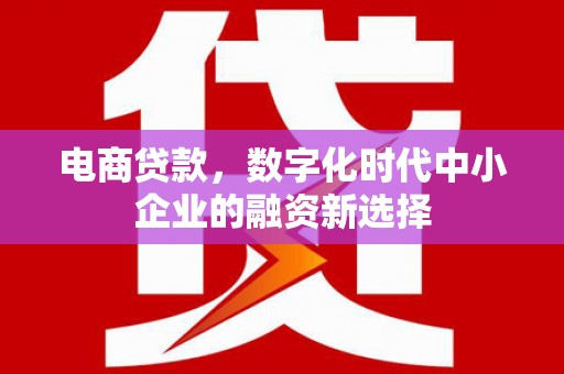 清丰电商贷款，数字化时代中小企业的融资新选择