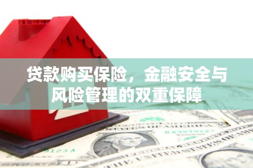 清丰贷款购买保险，金融安全与风险管理的双重保障