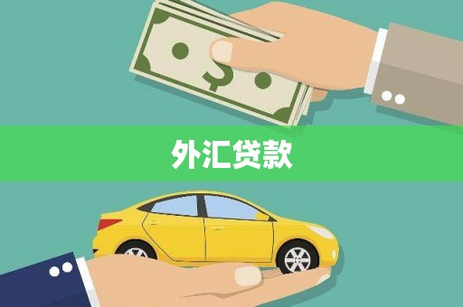 清丰外汇贷款