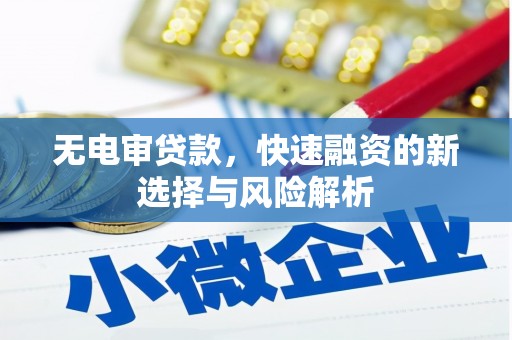 清丰无电审贷款，快速融资的新选择与风险解析