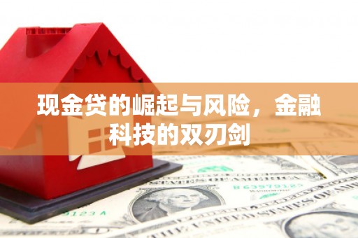 清丰现金贷的崛起与风险，金融科技的双刃剑