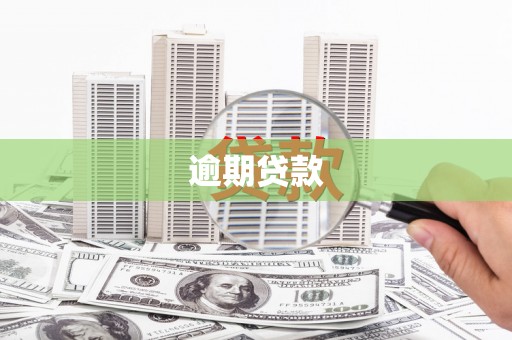 清丰逾期贷款