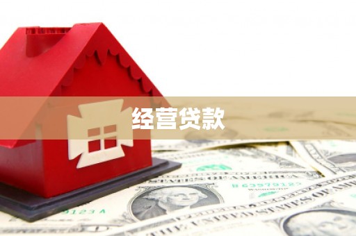 清丰经营贷款