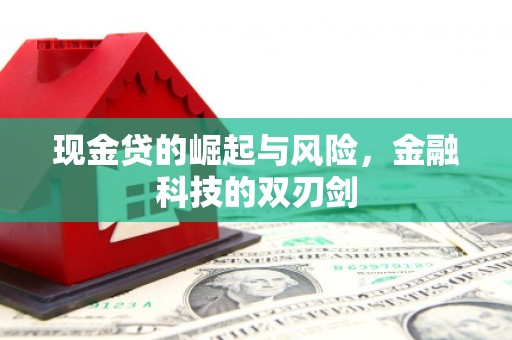 清丰现金贷的崛起与风险，金融科技的双刃剑