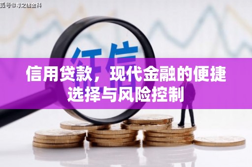 清丰信用贷款，现代金融的便捷选择与风险控制