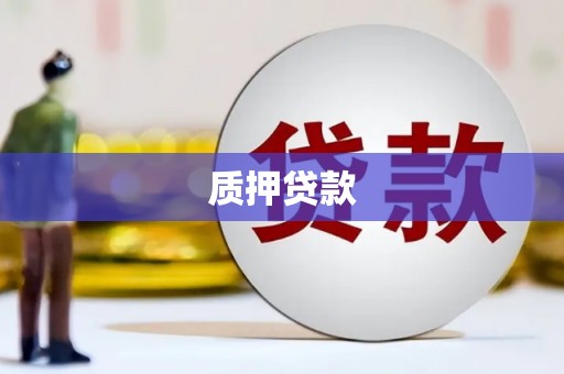 清丰质押贷款