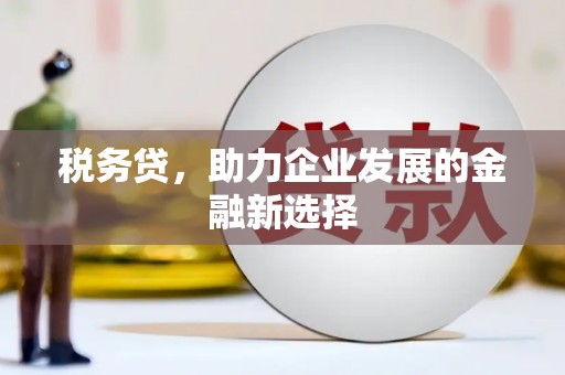 清丰税务贷，助力企业发展的金融新选择