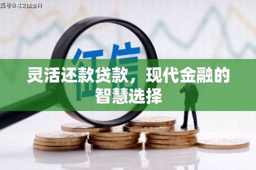 清丰灵活还款贷款，现代金融的智慧选择