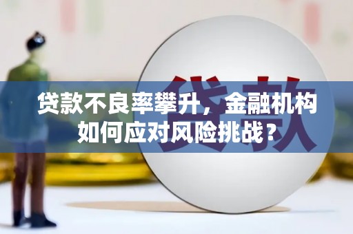 清丰贷款不良率攀升，金融机构如何应对风险挑战？