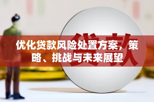 清丰优化贷款风险处置方案，策略、挑战与未来展望