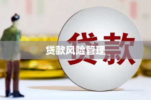 清丰贷款风险管理
