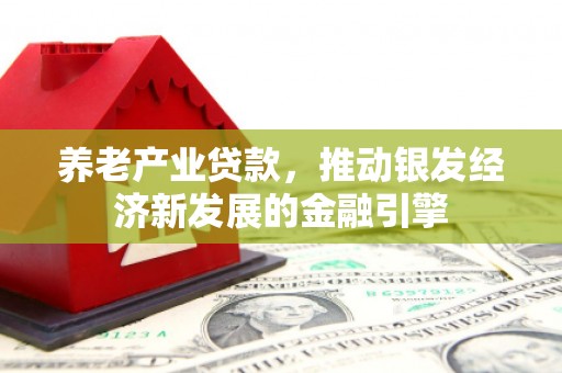 清丰养老产业贷款，推动银发经济新发展的金融引擎