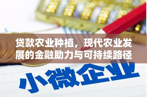 清丰贷款农业种植，现代农业发展的金融助力与可持续路径