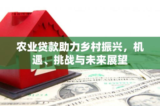 清丰农业贷款助力乡村振兴，机遇、挑战与未来展望