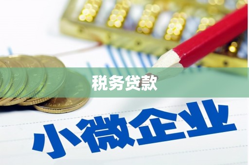 清丰税务贷款