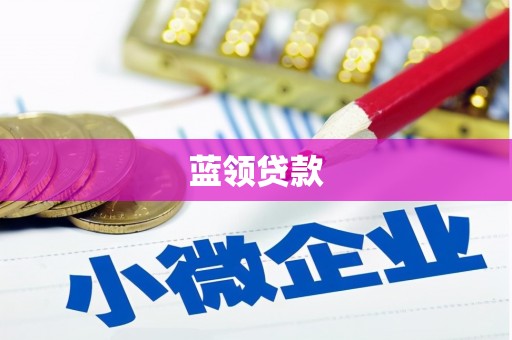 清丰蓝领贷款