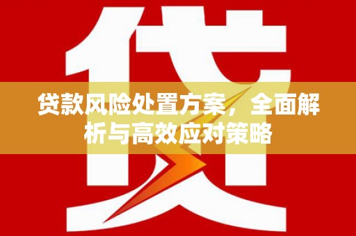 清丰贷款风险处置方案，全面解析与高效应对策略