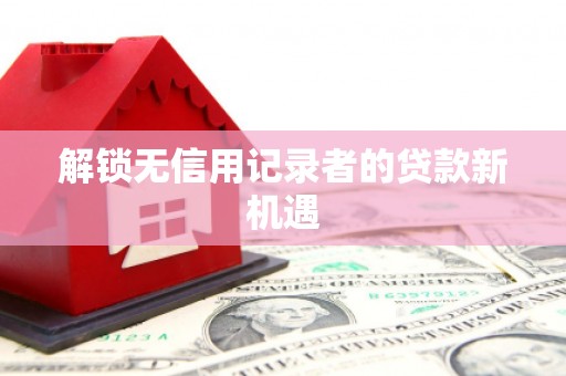 清丰解锁无信用记录者的贷款新机遇