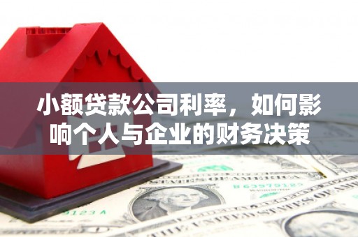 清丰小额贷款公司利率，如何影响个人与企业的财务决策