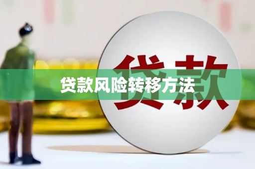 清丰贷款风险转移方法