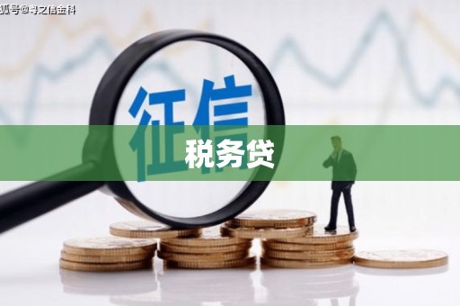 清丰税务贷