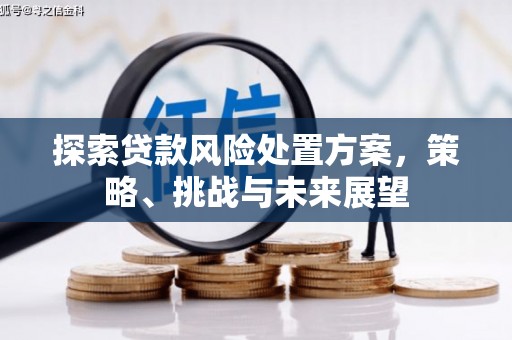 清丰探索贷款风险处置方案，策略、挑战与未来展望