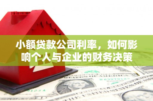 清丰小额贷款公司利率，如何影响个人与企业的财务决策