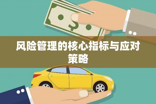清丰风险管理的核心指标与应对策略