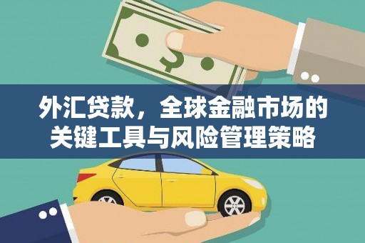 清丰外汇贷款，全球金融市场的关键工具与风险管理策略