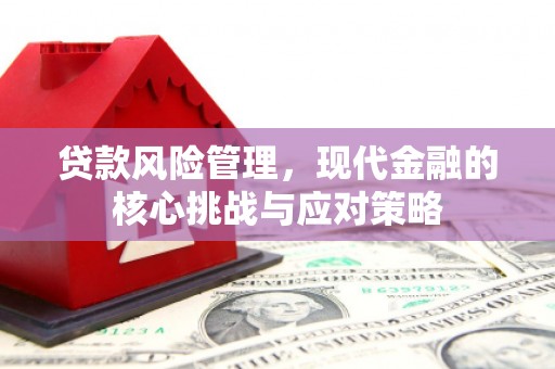 清丰贷款风险管理，现代金融的核心挑战与应对策略
