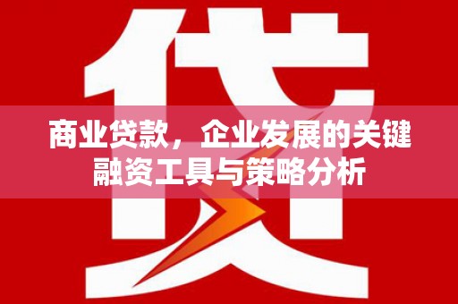 清丰商业贷款，企业发展的关键融资工具与策略分析