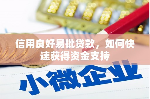 清丰信用良好易批贷款，如何快速获得资金支持