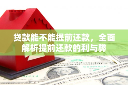 清丰贷款能不能提前还款，全面解析提前还款的利与弊