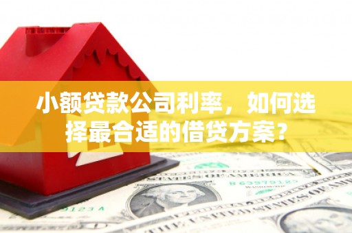 清丰小额贷款公司利率，如何选择最合适的借贷方案？