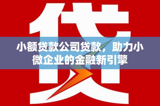 清丰小额贷款公司贷款，助力小微企业的金融新引擎